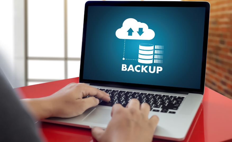 Website Backup Support: